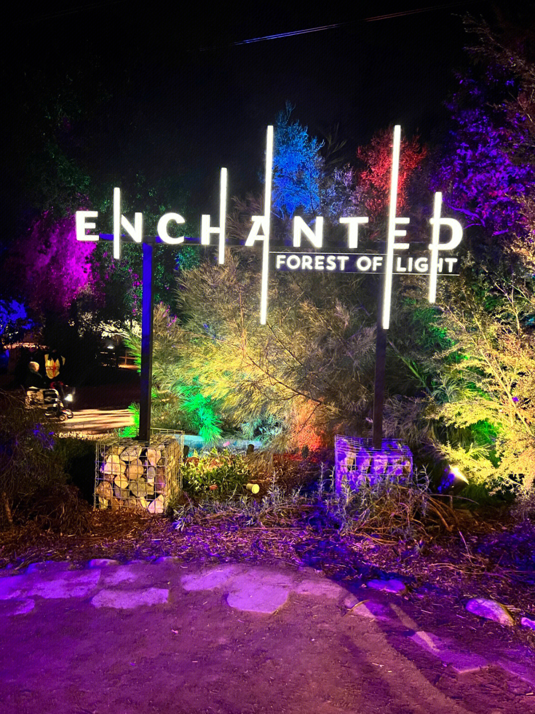 enchantedforest图片