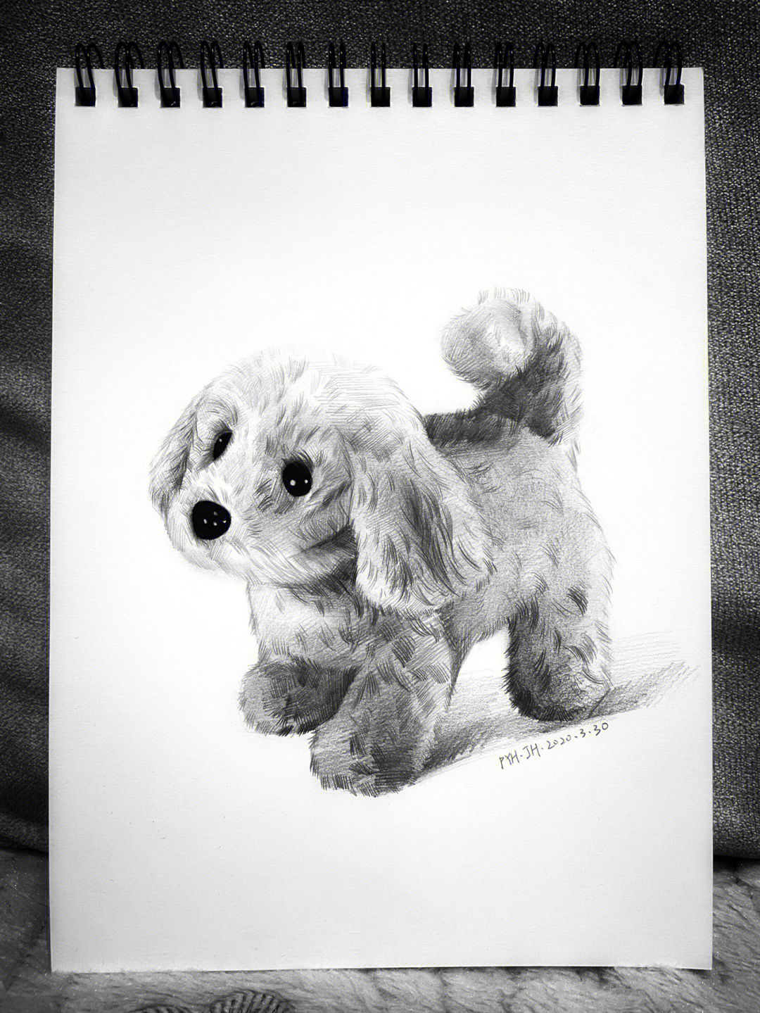 素描小狗 简单图片
