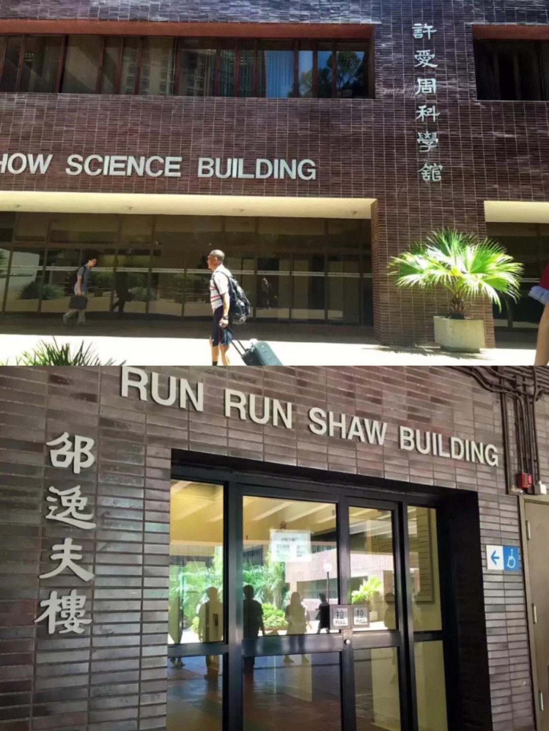 香港大学庄月明楼事件图片