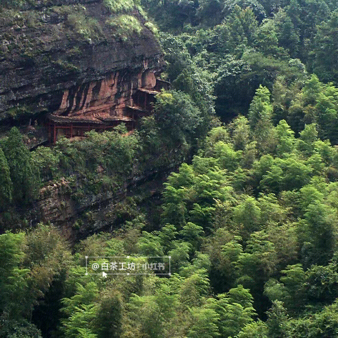 油岩题壁配图图片