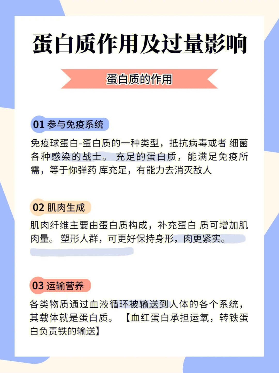 每天吃的蛋白质到底有哪些作用