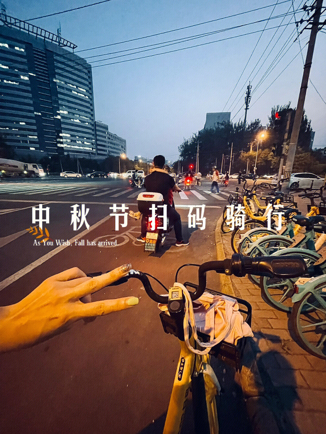 北京的秋天共享单车沿四环辅路溜达