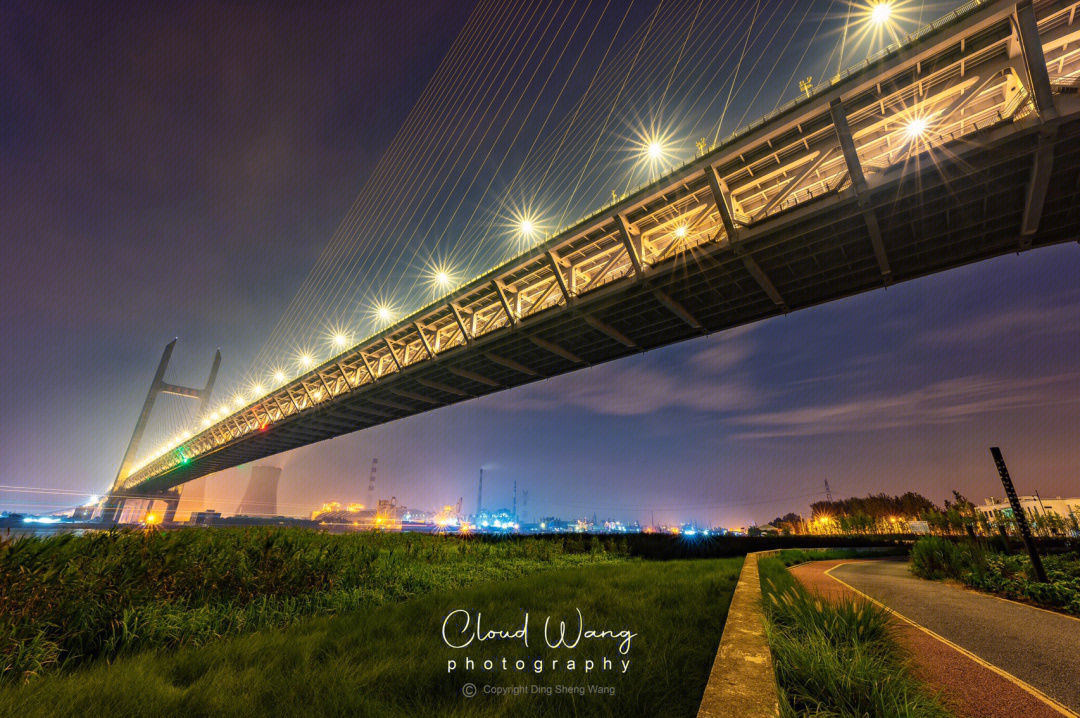 闵浦大桥夜景图片