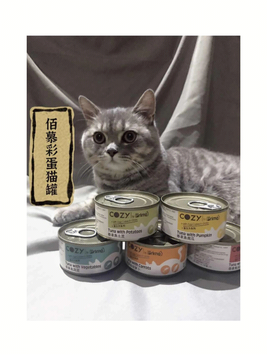 双猫family罐头分享primo佰慕彩蛋猫罐