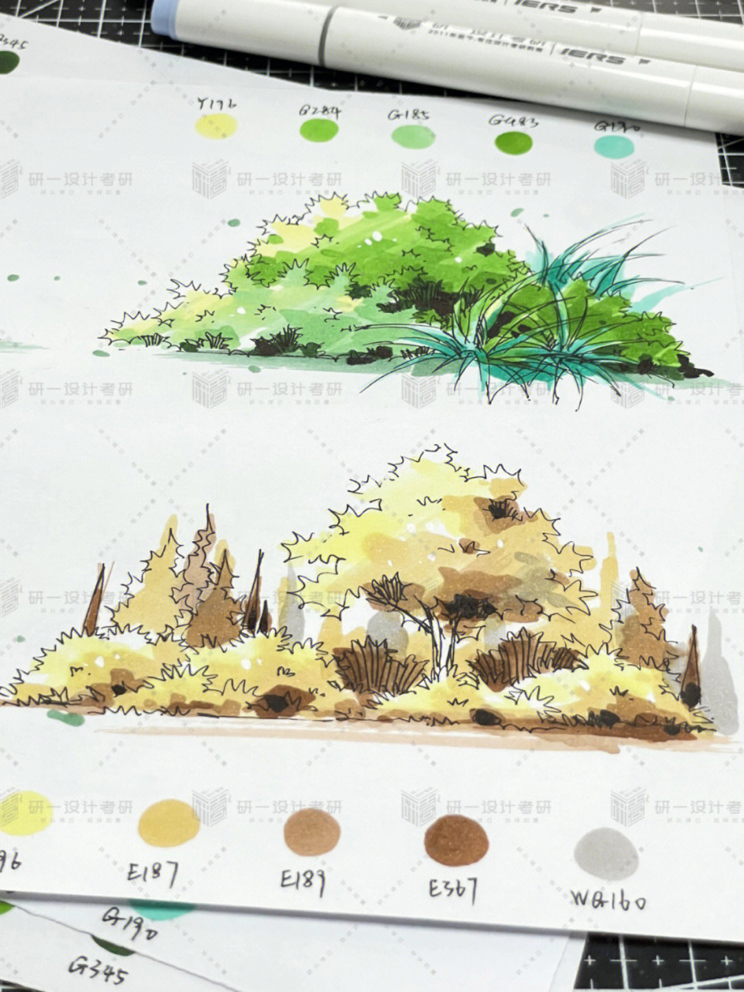 灌木丛手绘画法图片