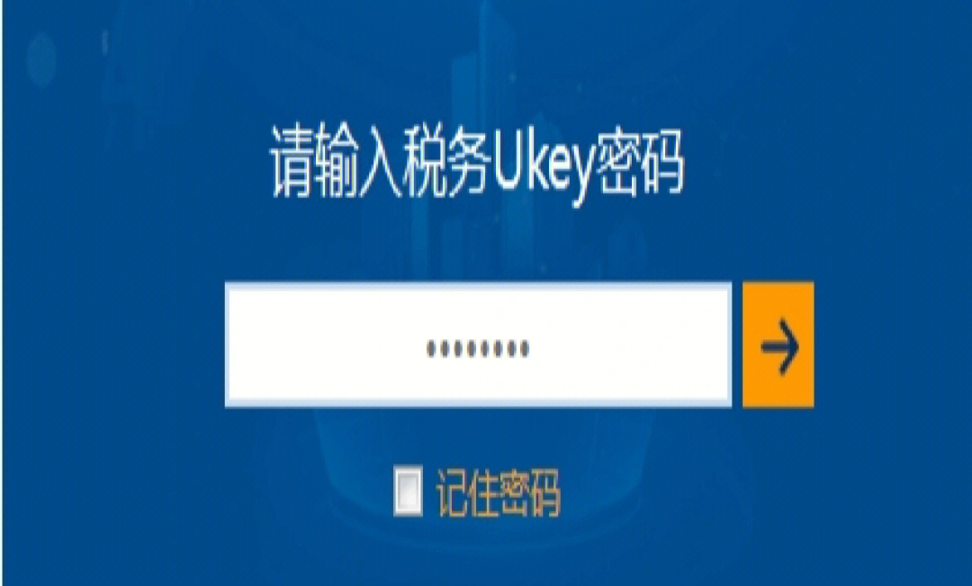 上海税务ukey图片