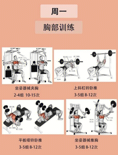 最全肌肉训练图解告别瞎练从此健身不求人