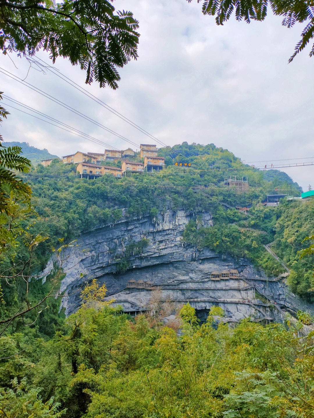 罗坑山省级森林公园图片