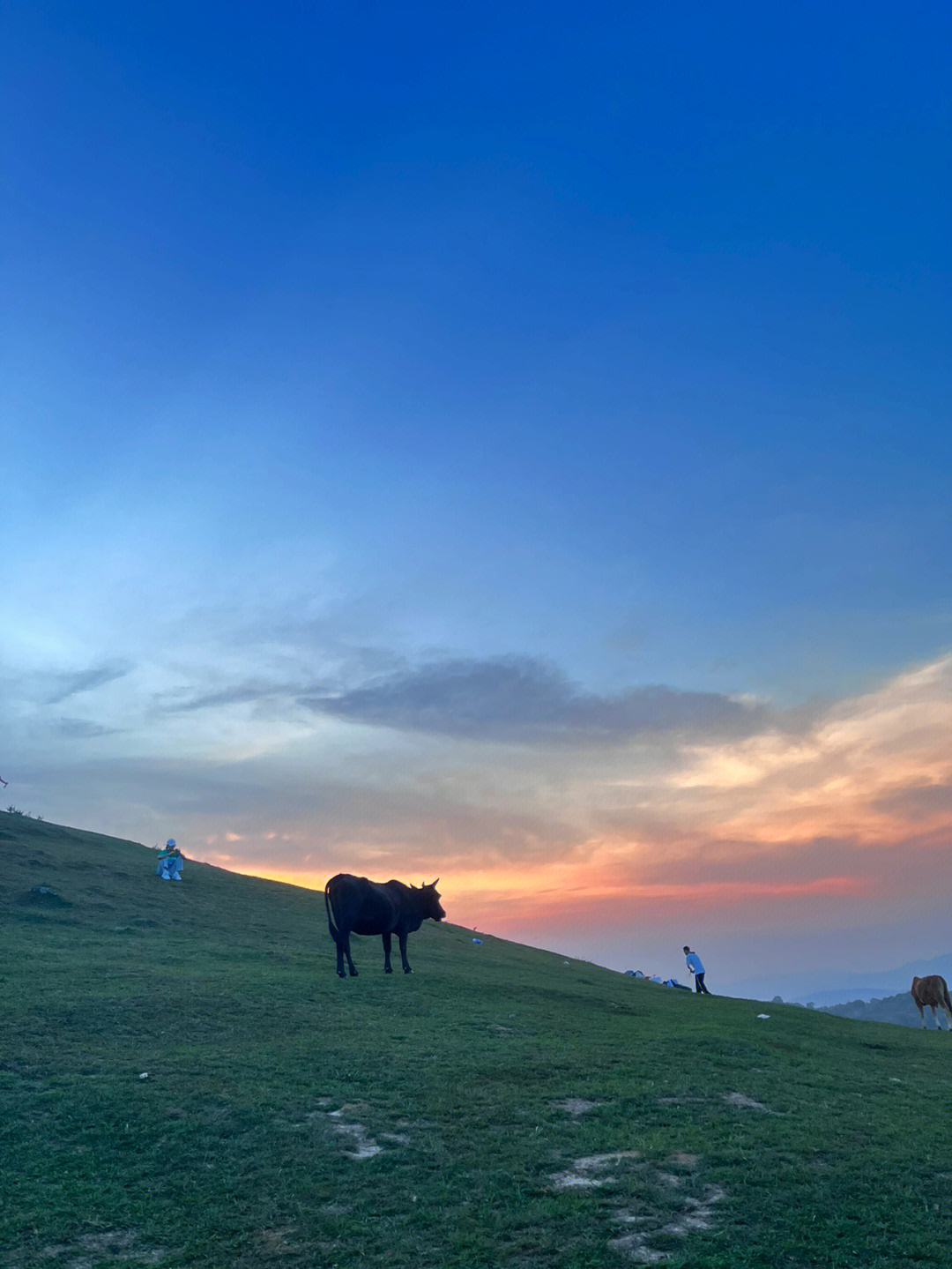 追一场草原落日61大姆山草场7215