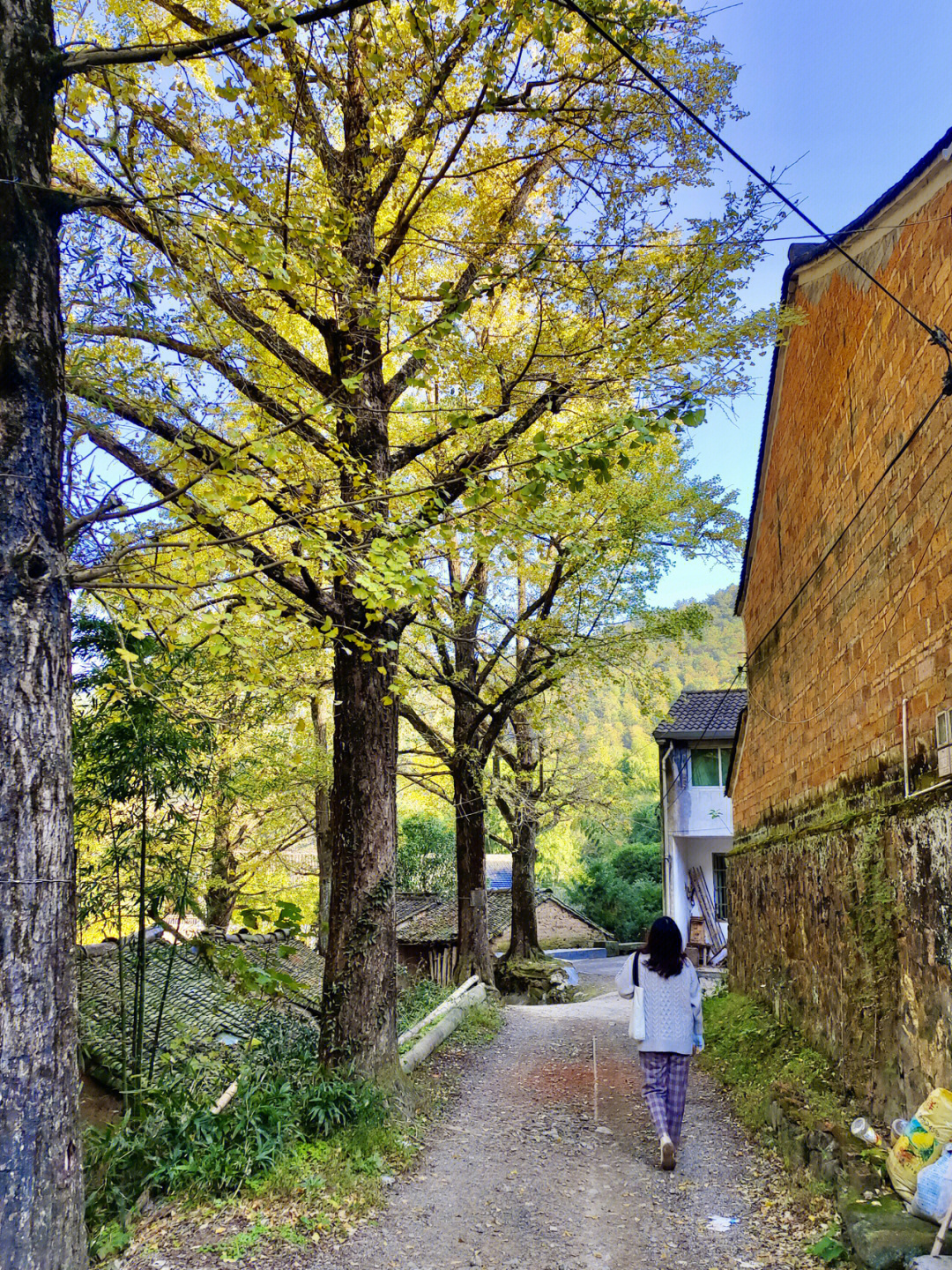 奉化马岙村