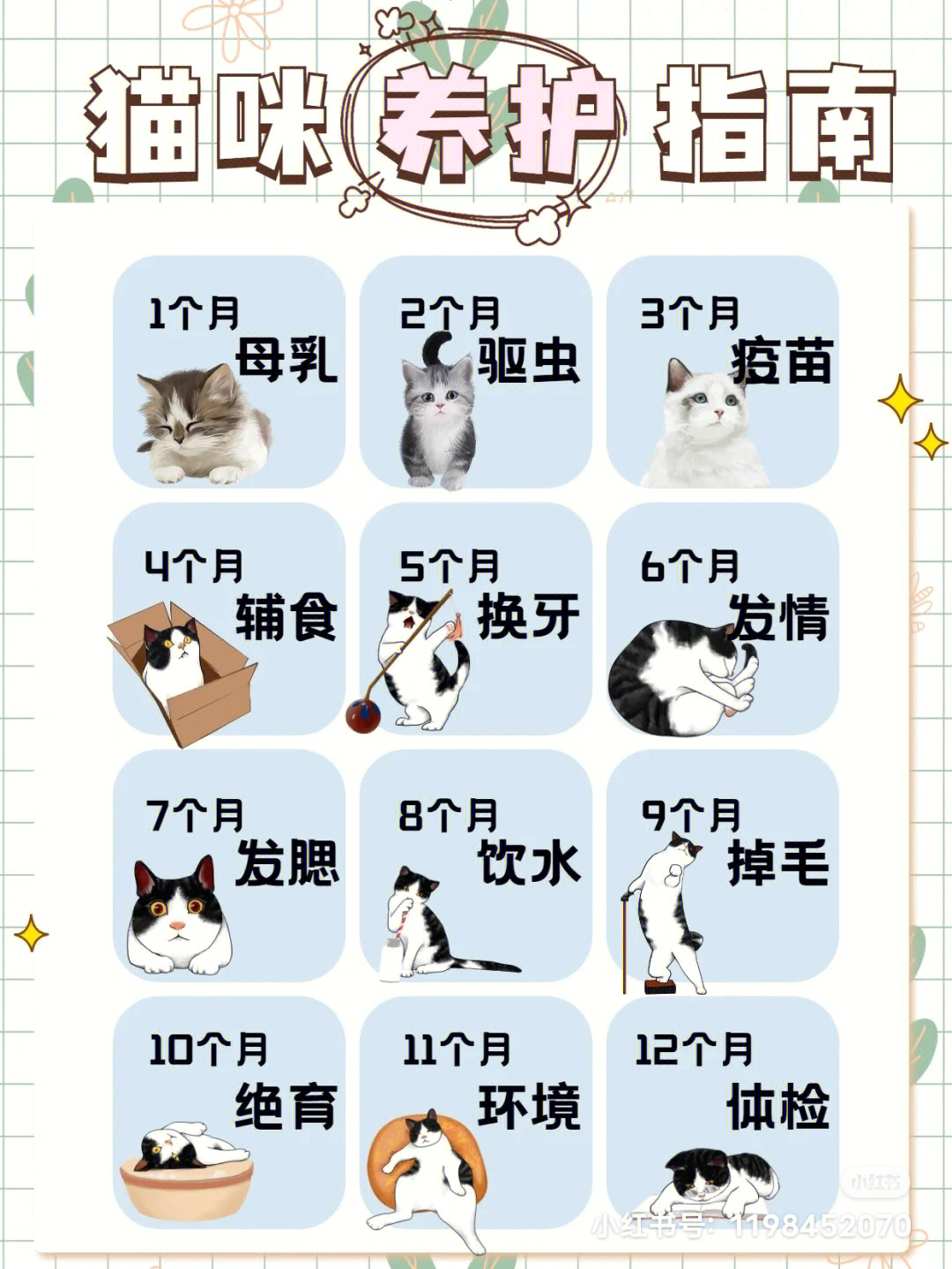 猫观察记录表图片