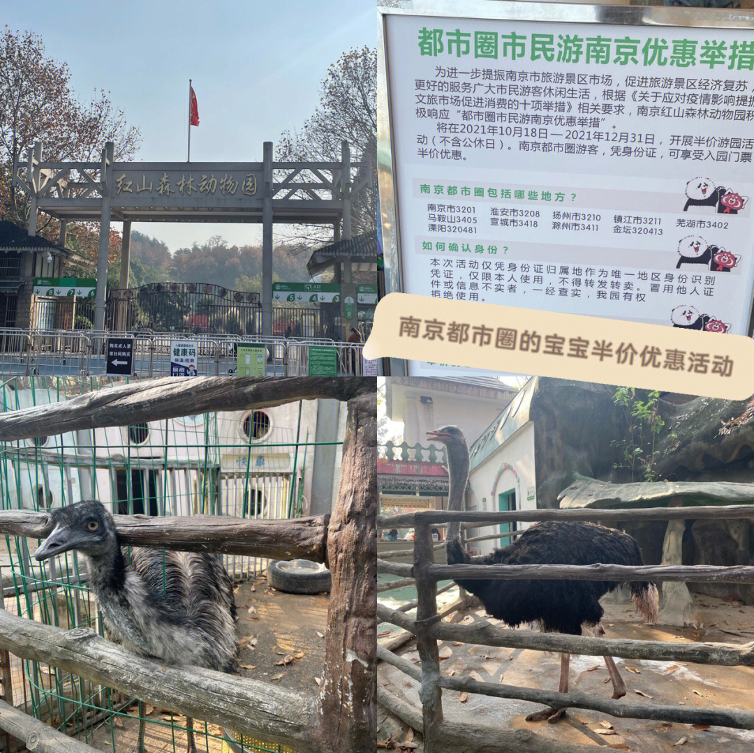 扬州动物园介绍图片