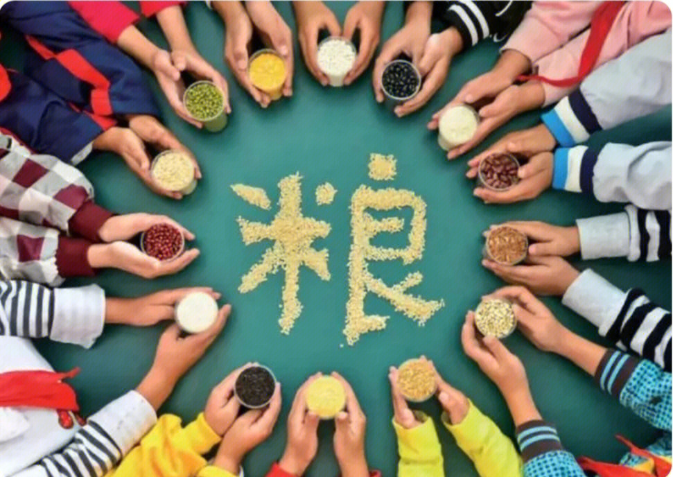 零饥饿海报图片