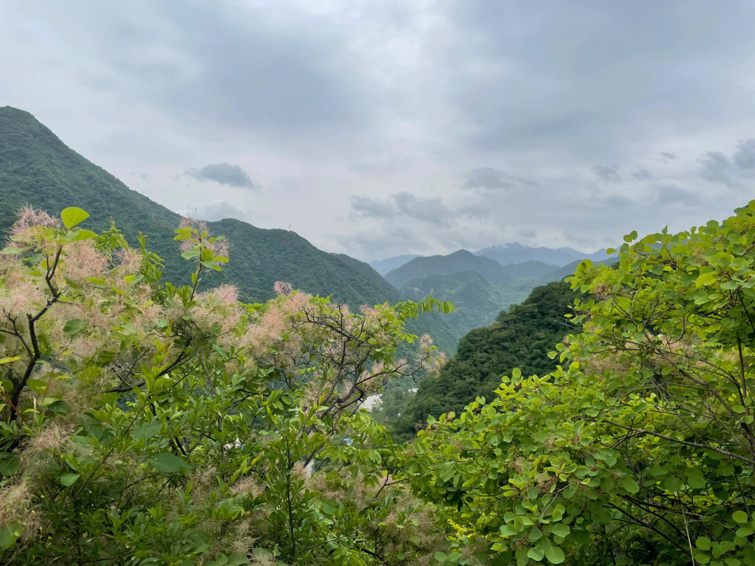 新会圭峰山海拔图片