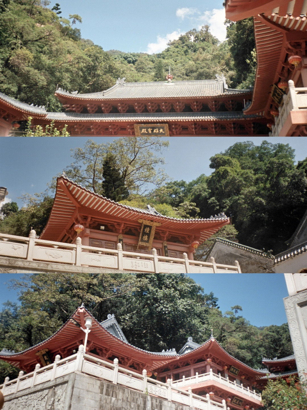 广东清远飞来寺住持图片