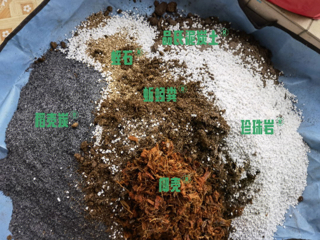 泥炭土的自制方法图片