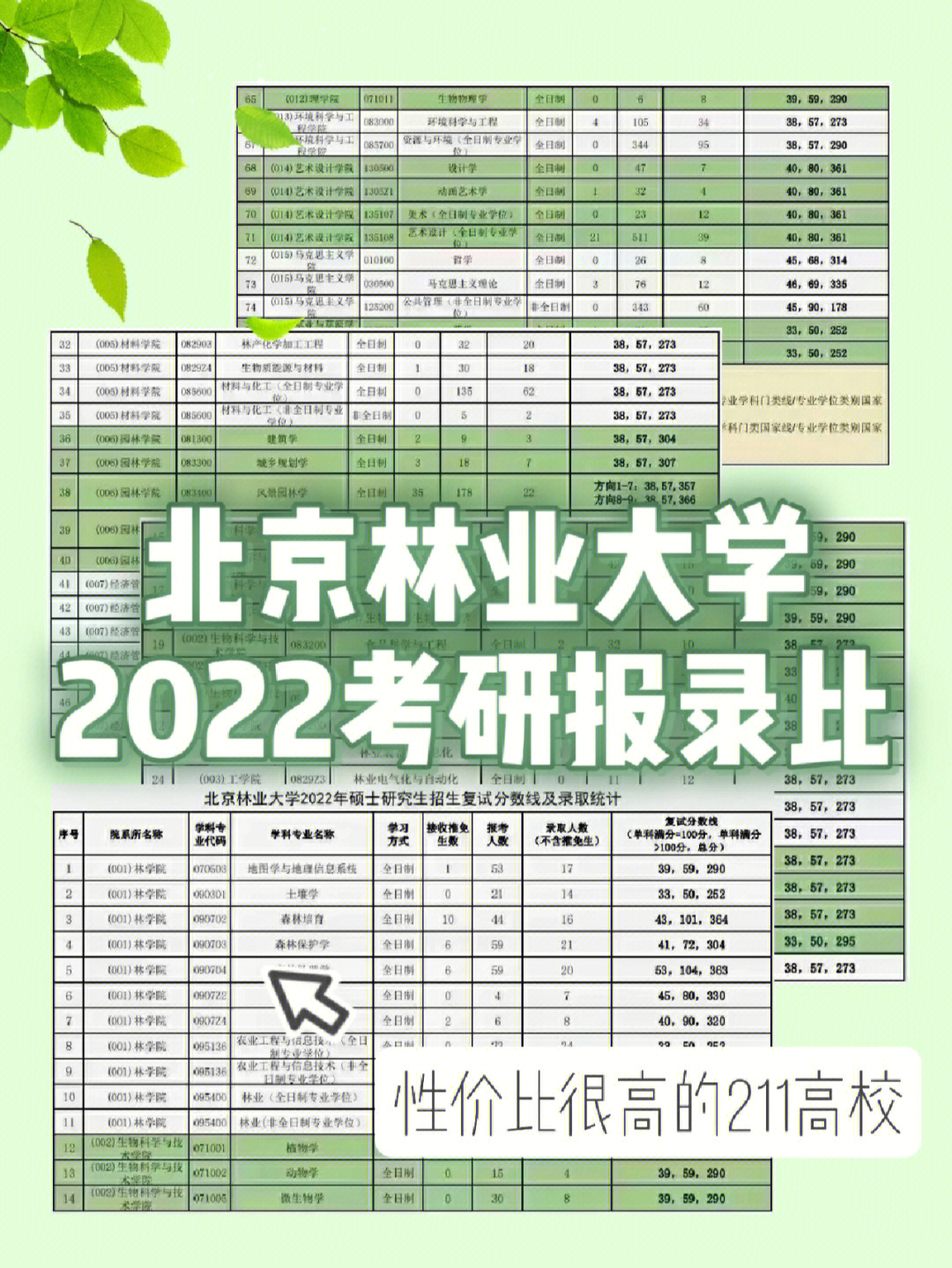 北京林业大学2022考研报录比​