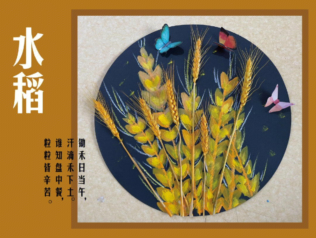 水稻创意美术教案图片