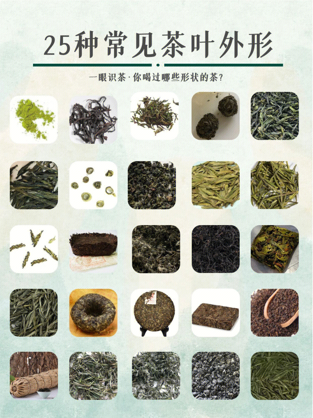 由于不同的茶树品种,采摘嫩度,加工工艺,造就了多姿多彩的茶叶外形