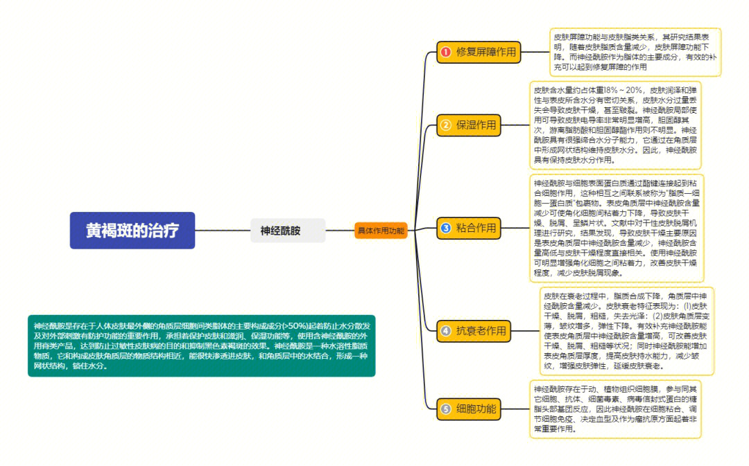 一图就懂系列(5)丨黄褐斑的治疗,神经酰胺