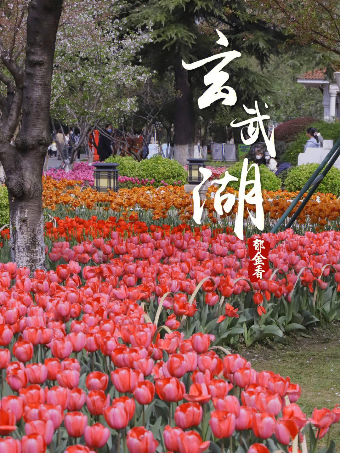 南京玄武湖公园情侣园图片