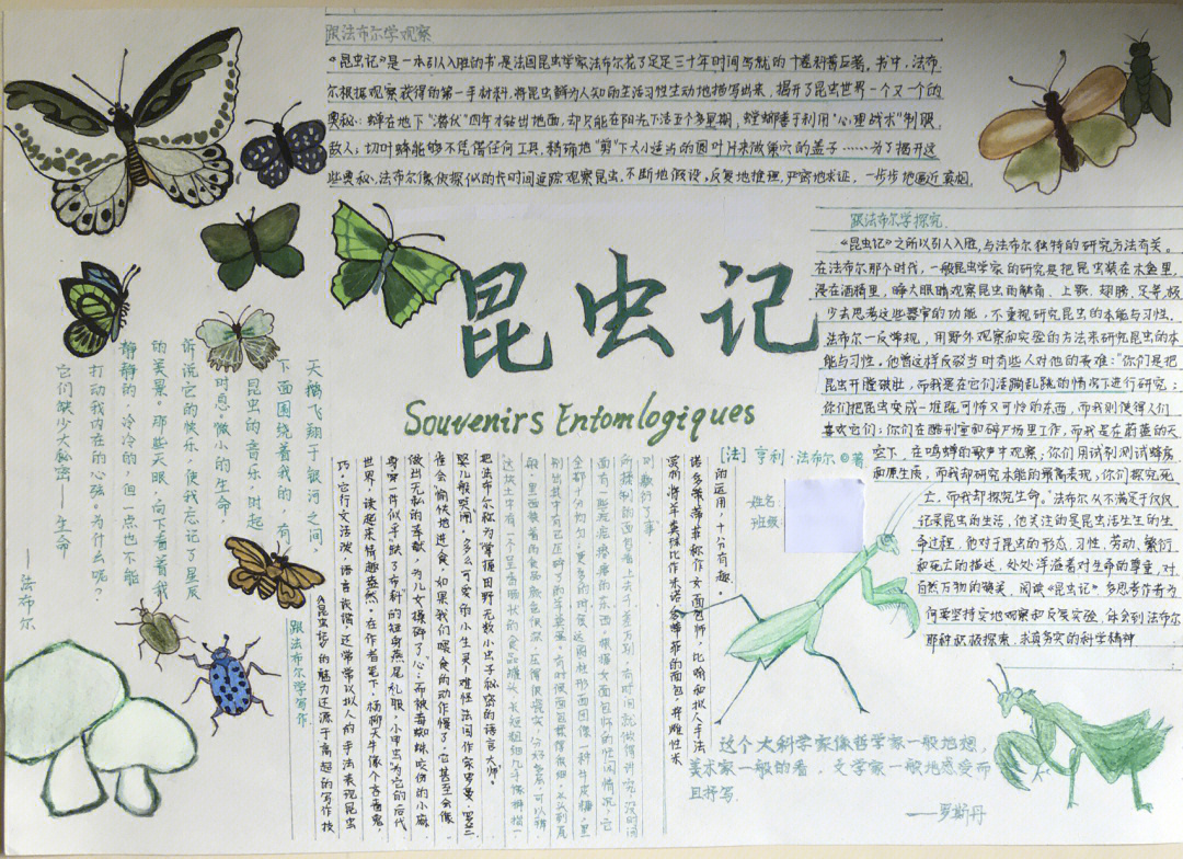 八年级上册必读书目《昆虫记》手抄报字的内容是八上语文书名著导读