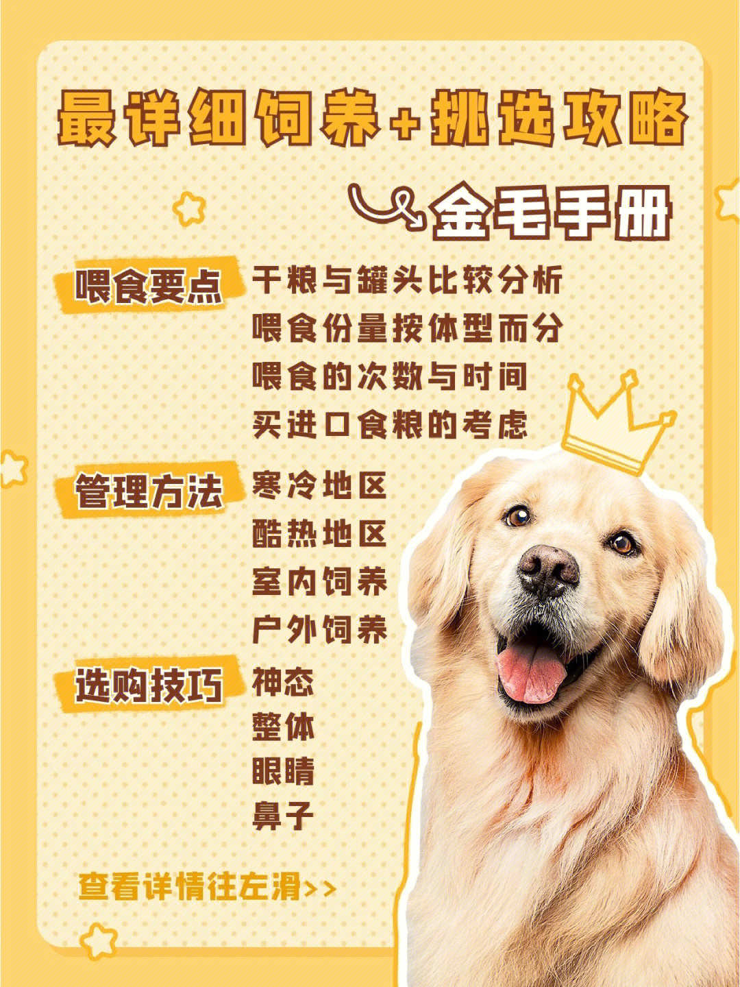 金毛犬身高体重标准表图片