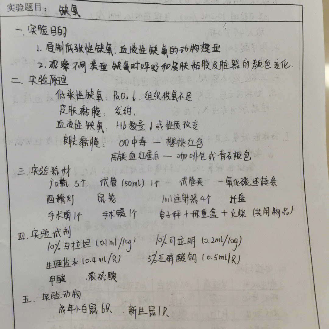 病理生理学小鼠缺氧实验报告,实验结果