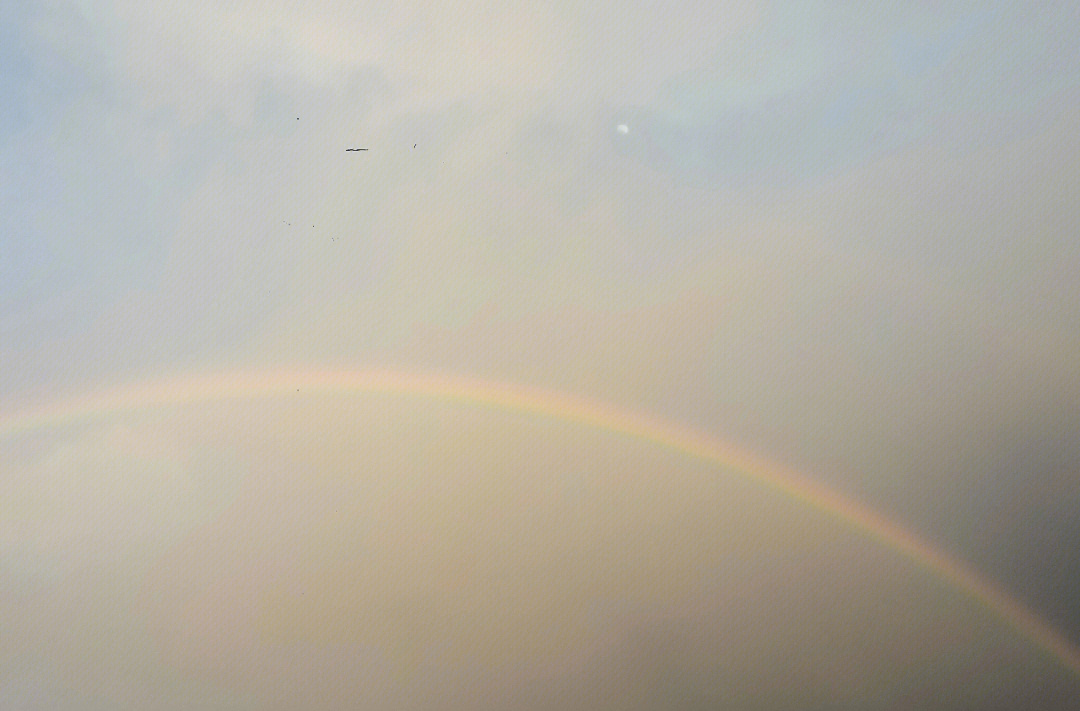 暴风雨后的彩虹