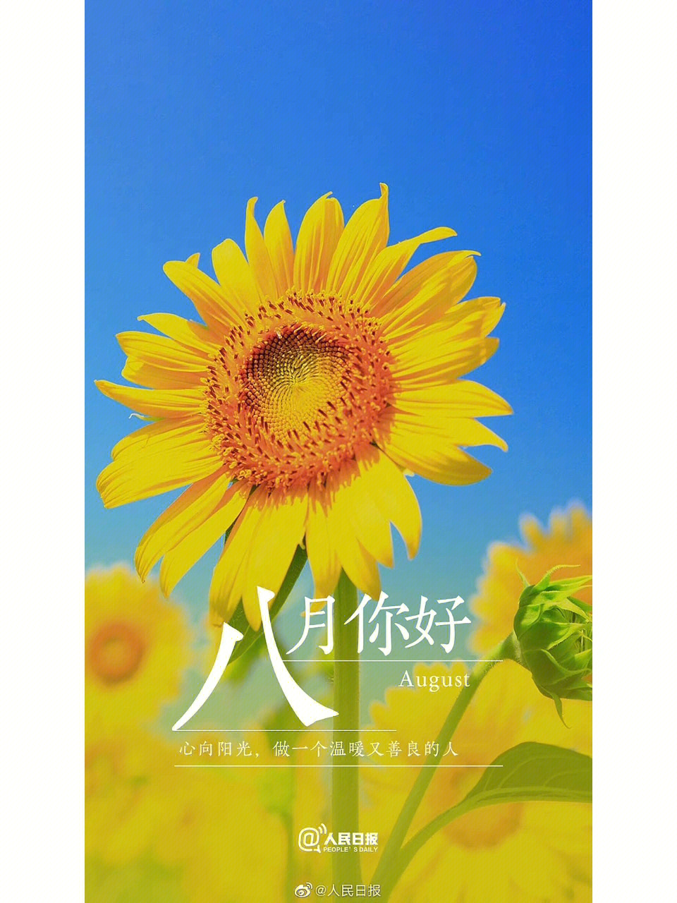 八月请对我好一点图片图片