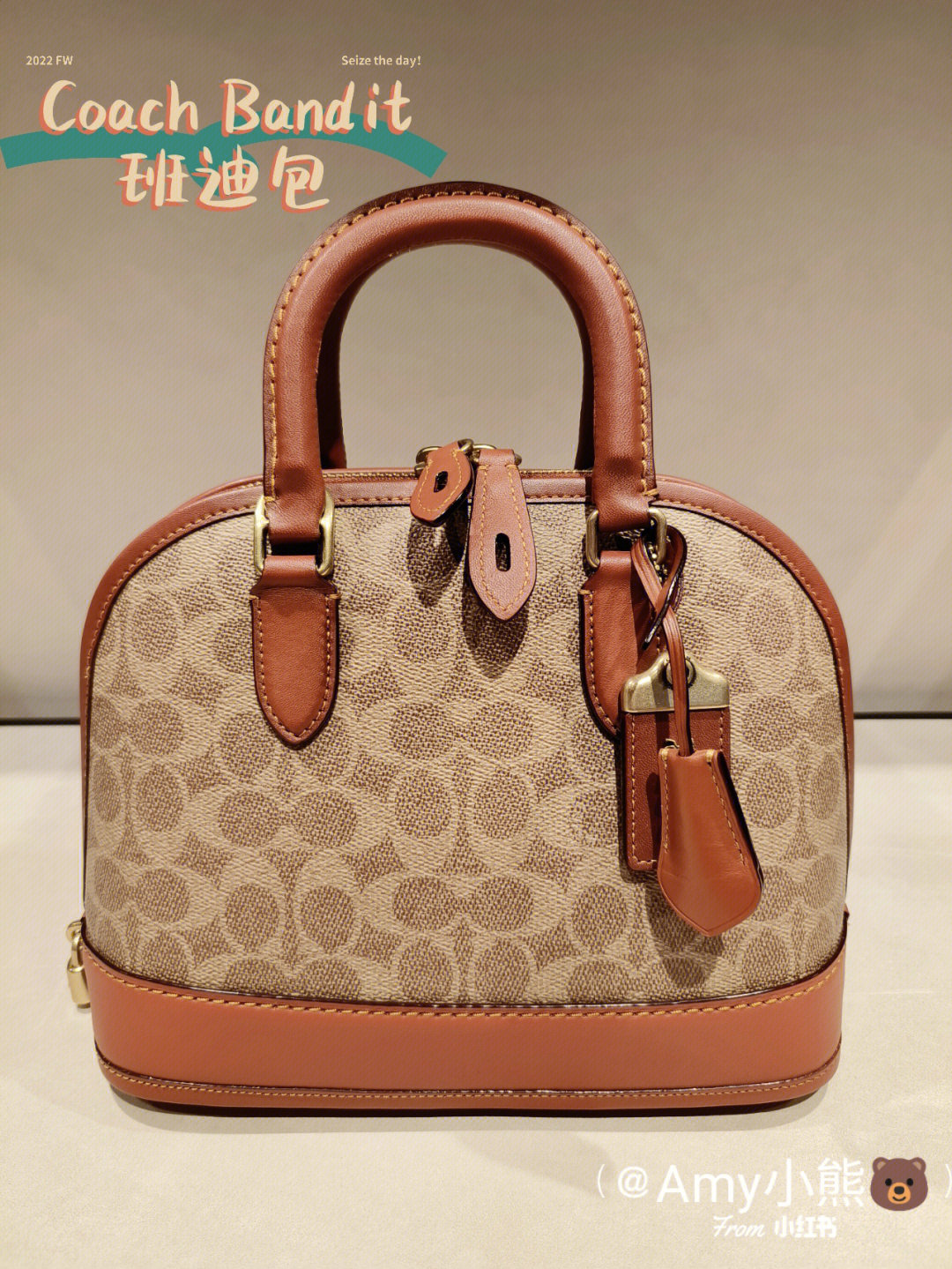 coach logo有几种图片