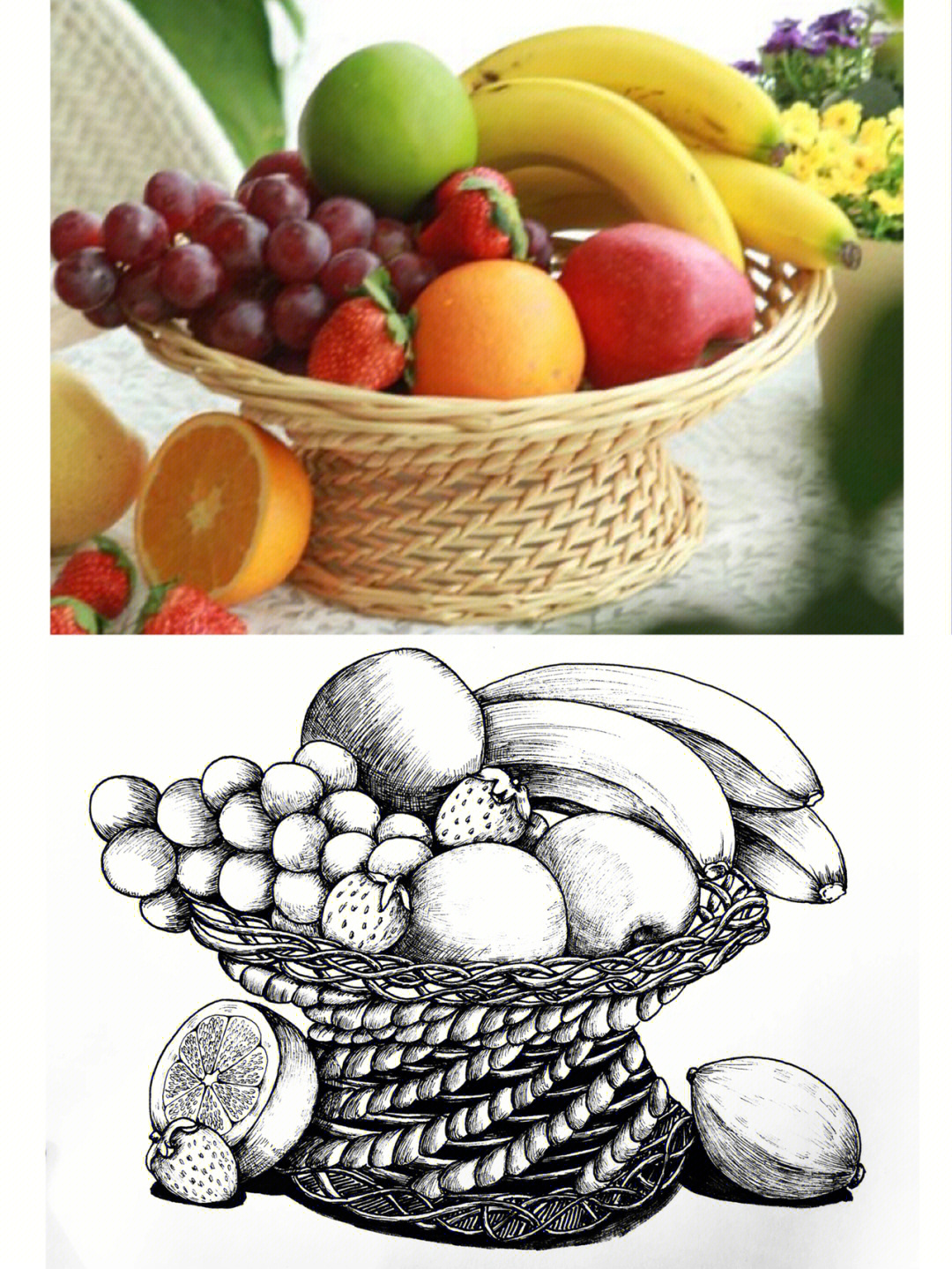 水果线描画教案图片