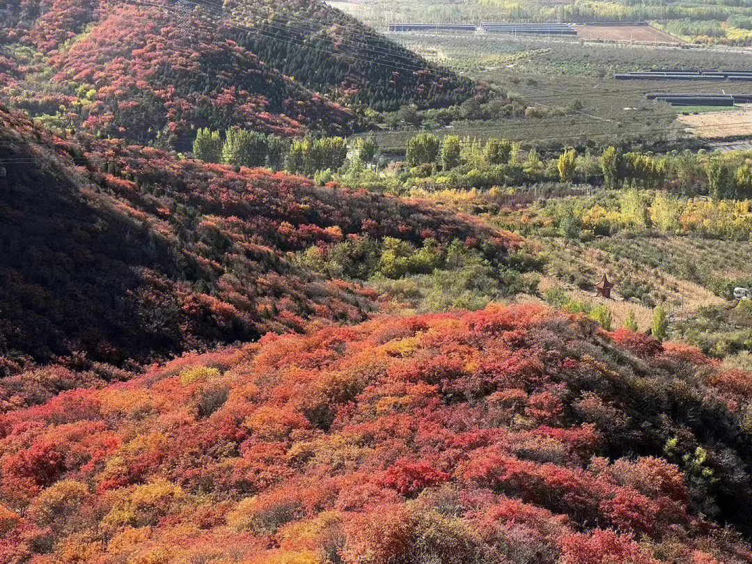 舞彩浅山京郊原生态红叶观赏地