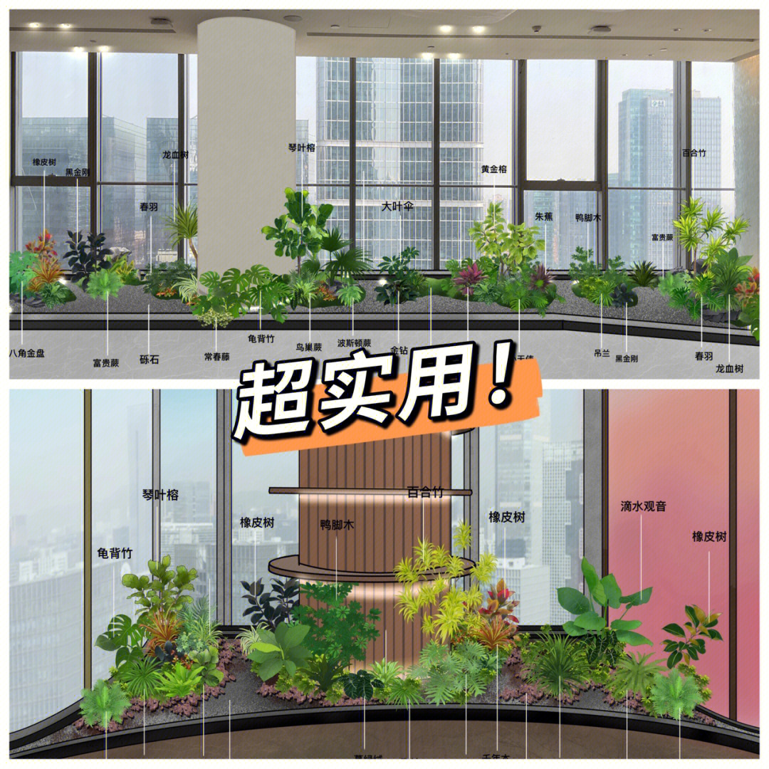 室内绿植设计说明图片