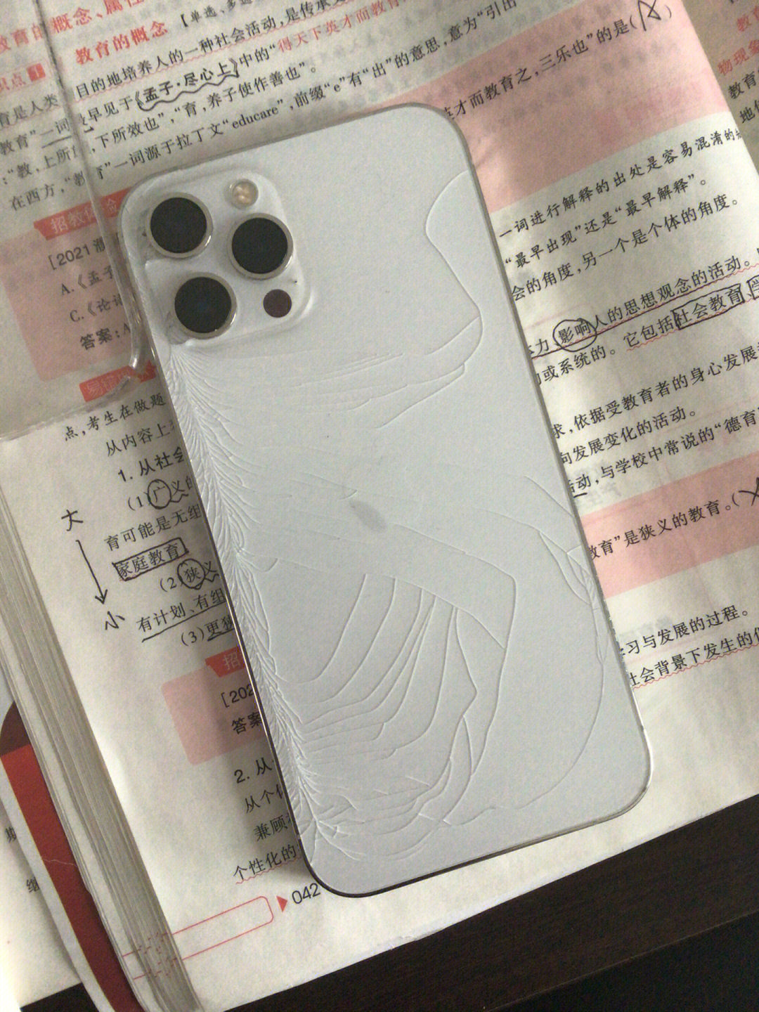 iphone12promax256g后屏摔碎还值多少钱