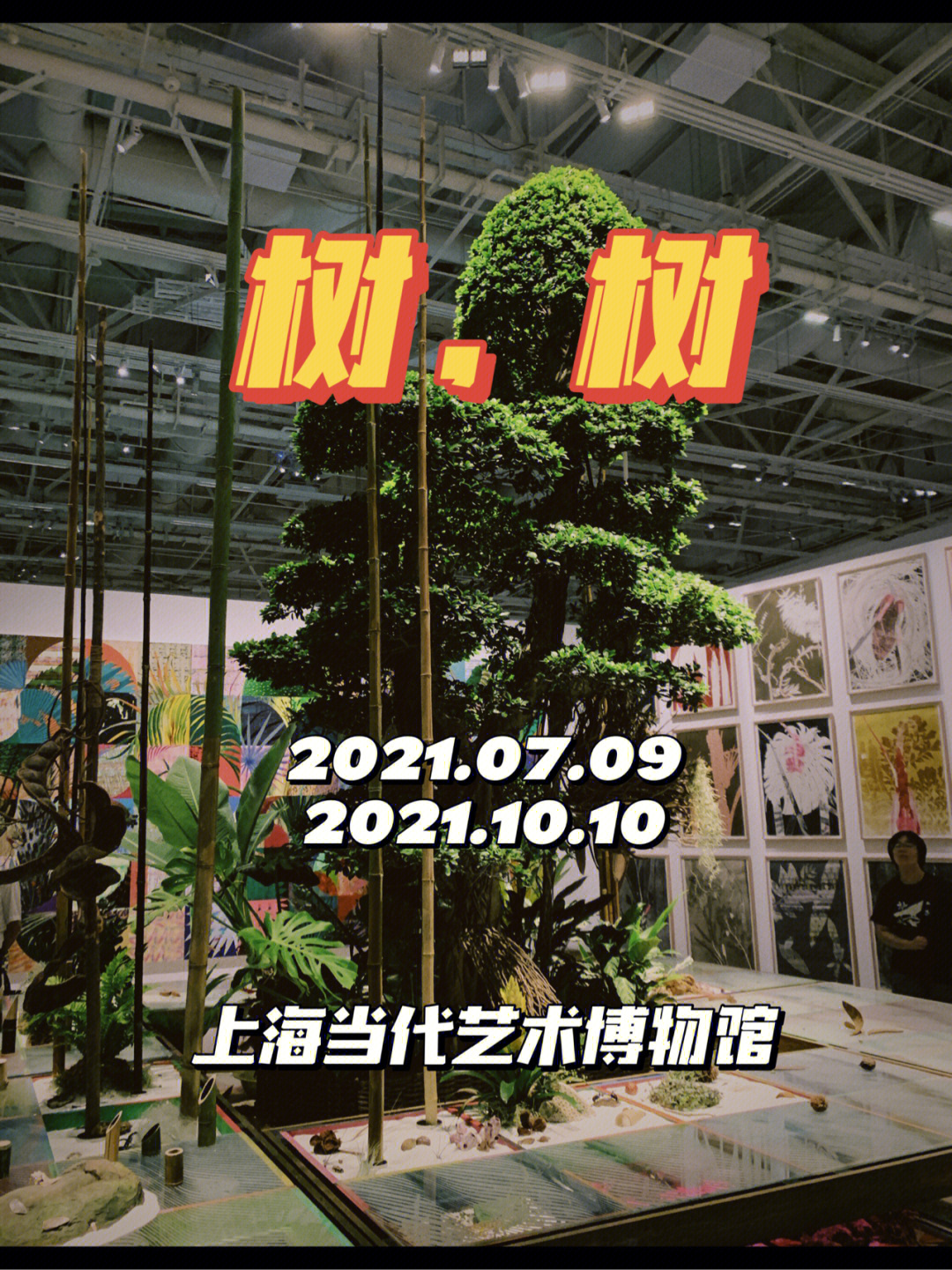 假期好去处上海艺术博物馆树树展