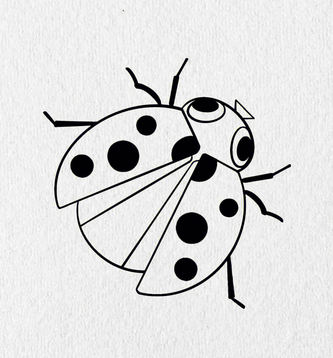 七星瓢虫画法 简单图片