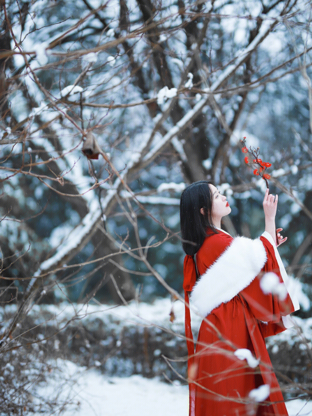 我寄人间雪满头