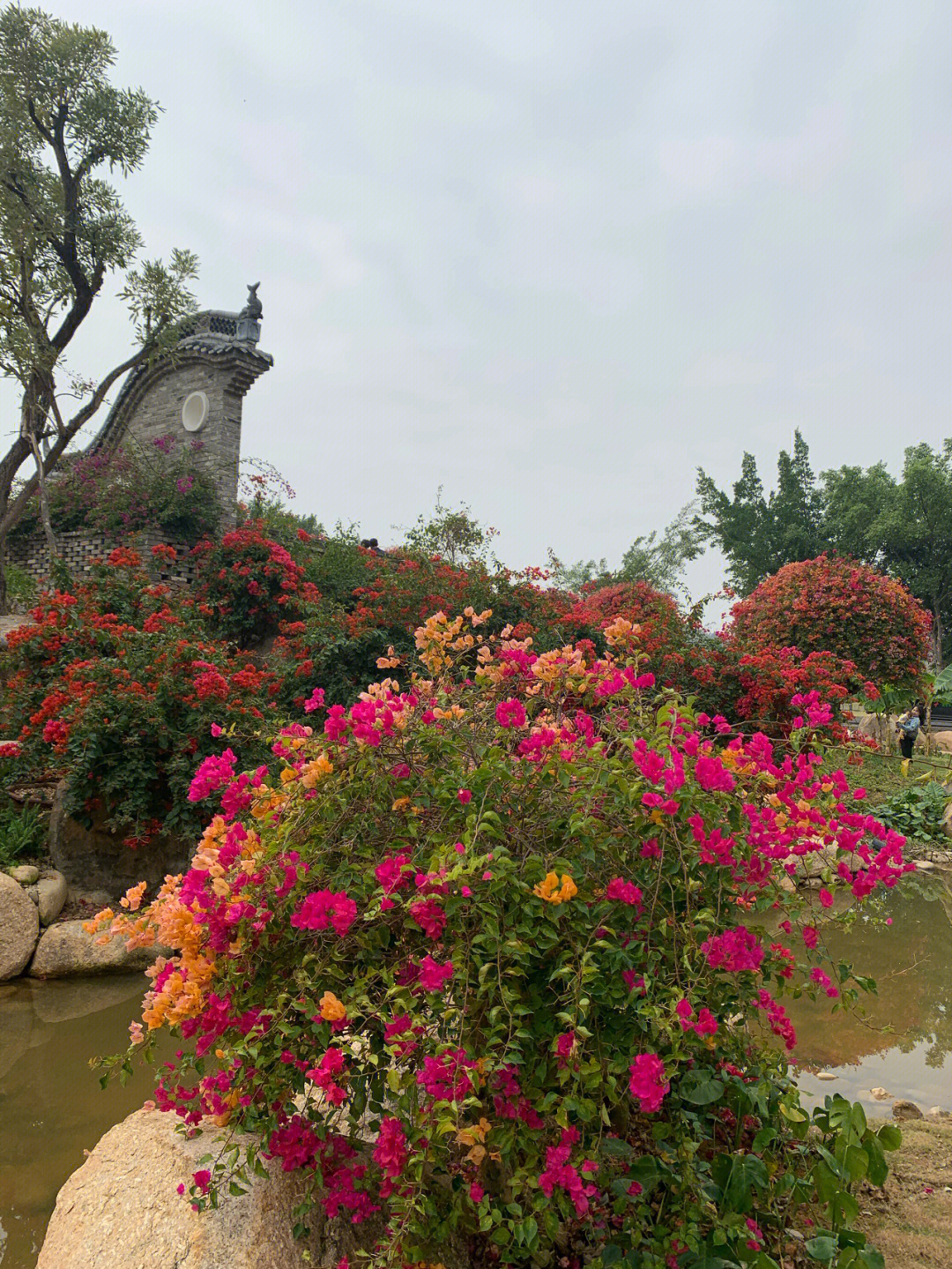 马岭观花植物园地址图片