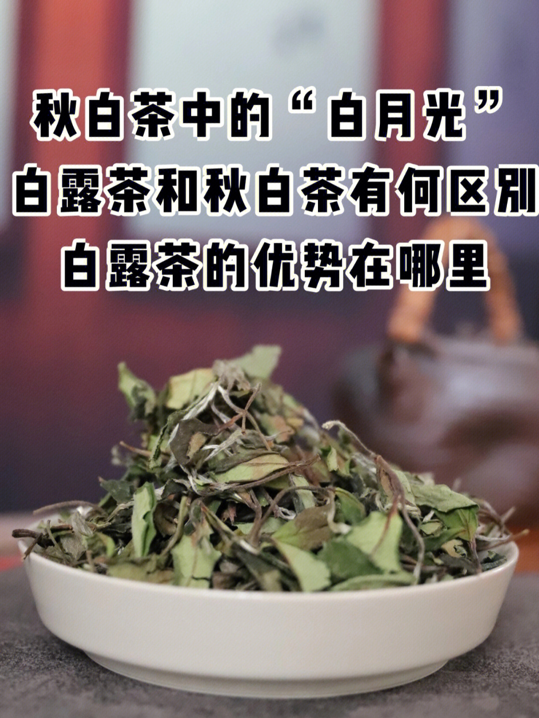 白露茶和秋白茶什么区别它的优势在哪里