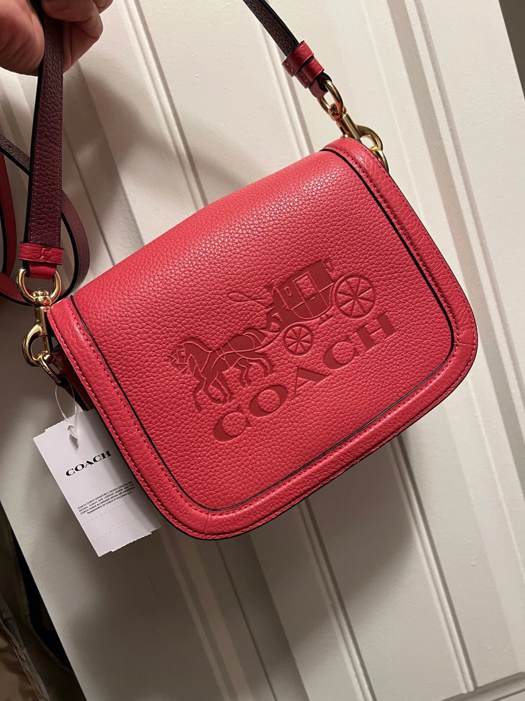 coach logo有几种图片