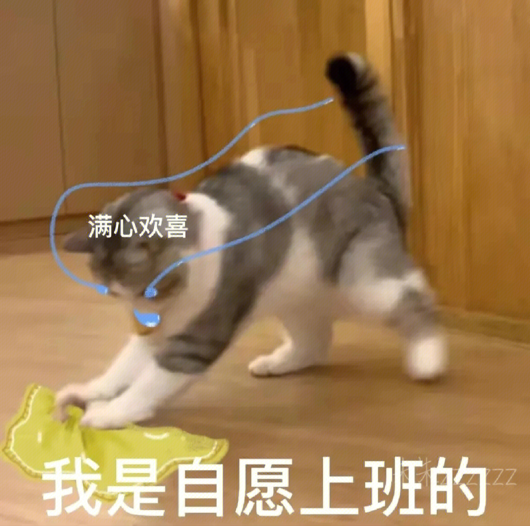 不想上班表情包猫猫图片