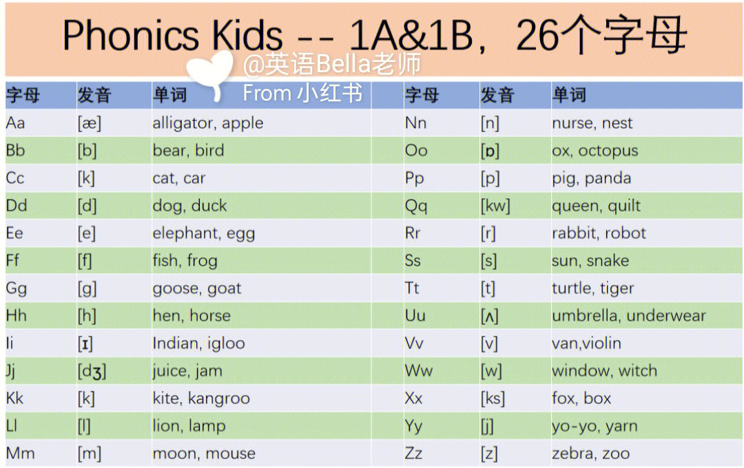 蒲公英自然拼读词汇表一篇看懂phonics