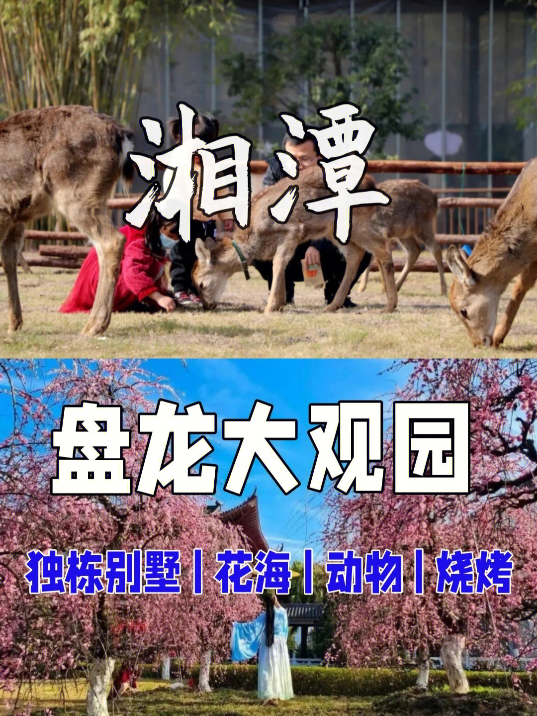 湘潭盘龙大观园门票图片