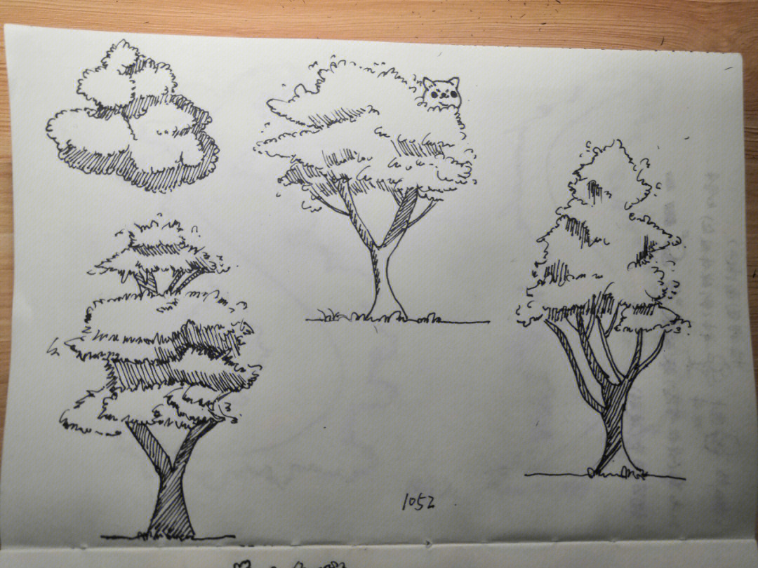 树木手绘线稿单体图片
