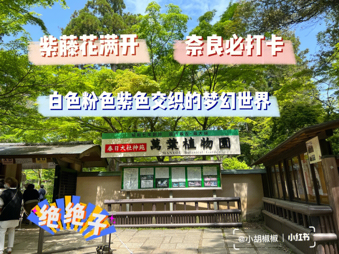 紫藤公园门票图片