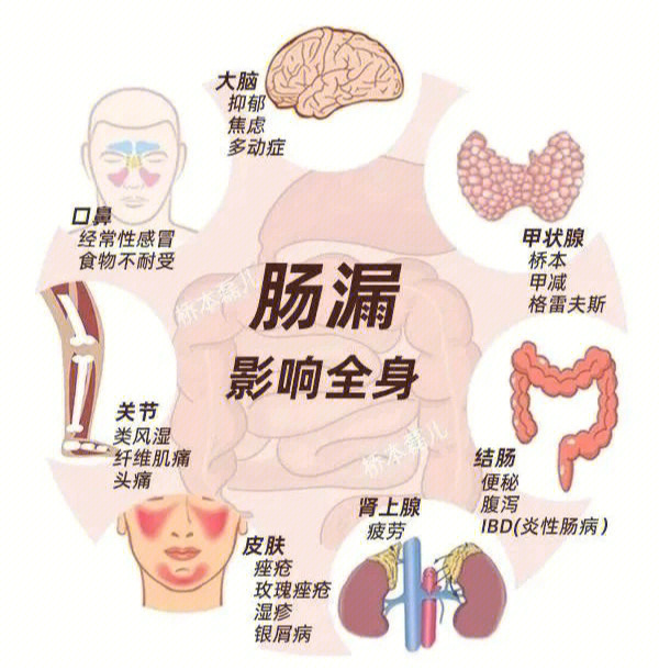 牛犊漏肠图片图片