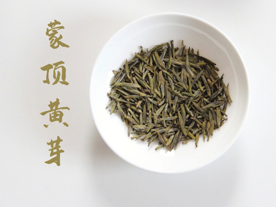 喝99款茶系列31黄茶蒙顶黄芽