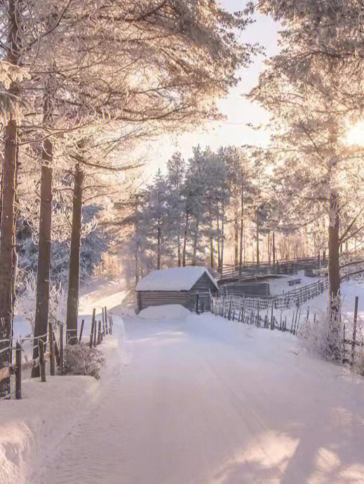 雪景背景图