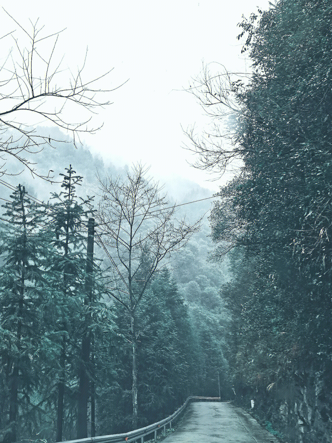 空山新雨电影图片